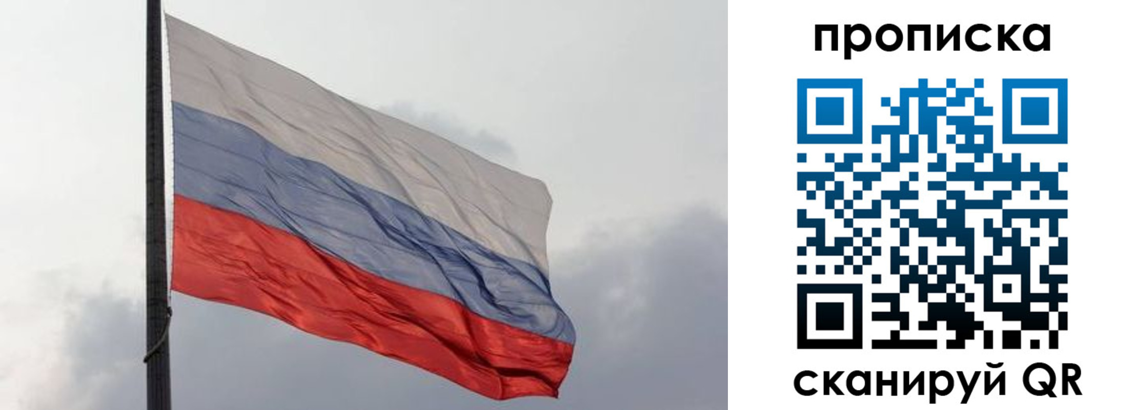 прописка в квартире в Камышлове